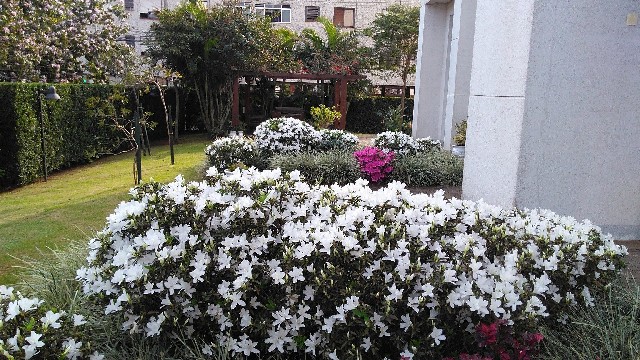 Foto 1 - Jardineiro