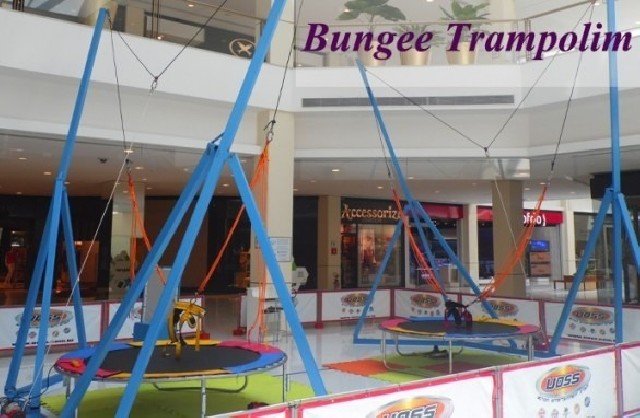 Foto 2 - locacao bungee trampolim