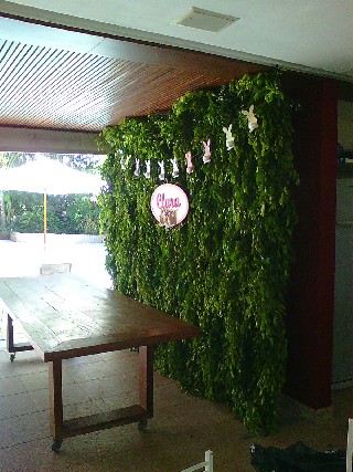 Foto 1 - Locao de plantas naturais em vasos em brasilia